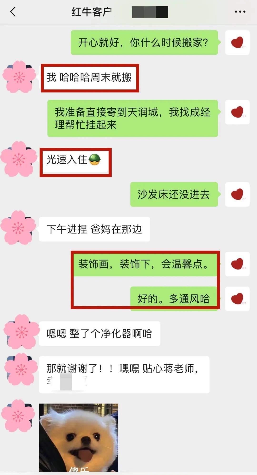 喜報(bào)｜金秋十月，收獲滿滿，紅牛裝飾再獲三面錦旗！05